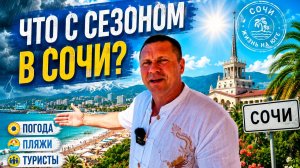 Что с сезоном в Сочи в 2026 году? Туристы, бензин, недвижимость