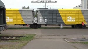 Павильоны, выставка «Экспо 1520» и парад поездов, поездка по кольцу