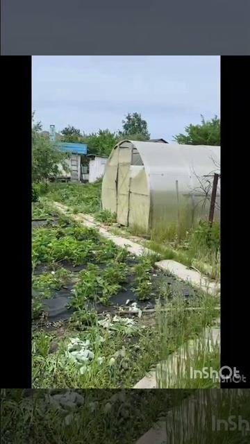 Участок на Саратовке