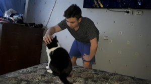 Еще мой васька (я просто хз что записать)