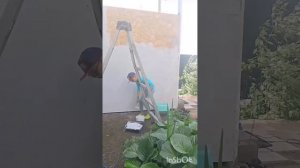 Я крашу стены