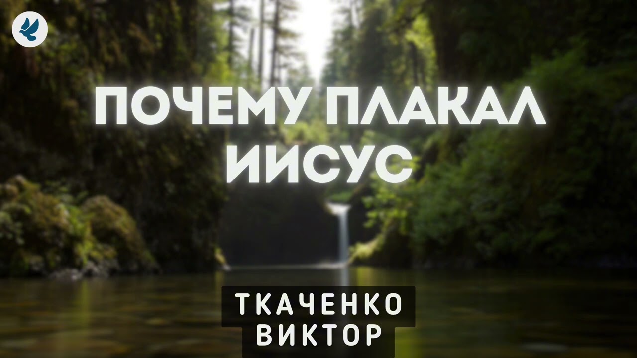 Почему плакал Иисус. Ткаченко В.И. Проповедь МСЦ ЕХБ смотреть онлайн