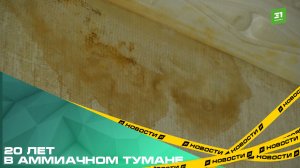 20 лет в аммиачном тумане. Челябинцы требуют выселить 35 собак из соседской двушки