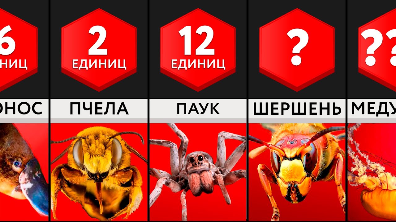 Самые Болезненные Укусы смотреть онлайн