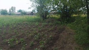 молё село