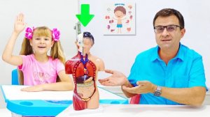 Ди исследует органы человеческого тела |шоу для детей