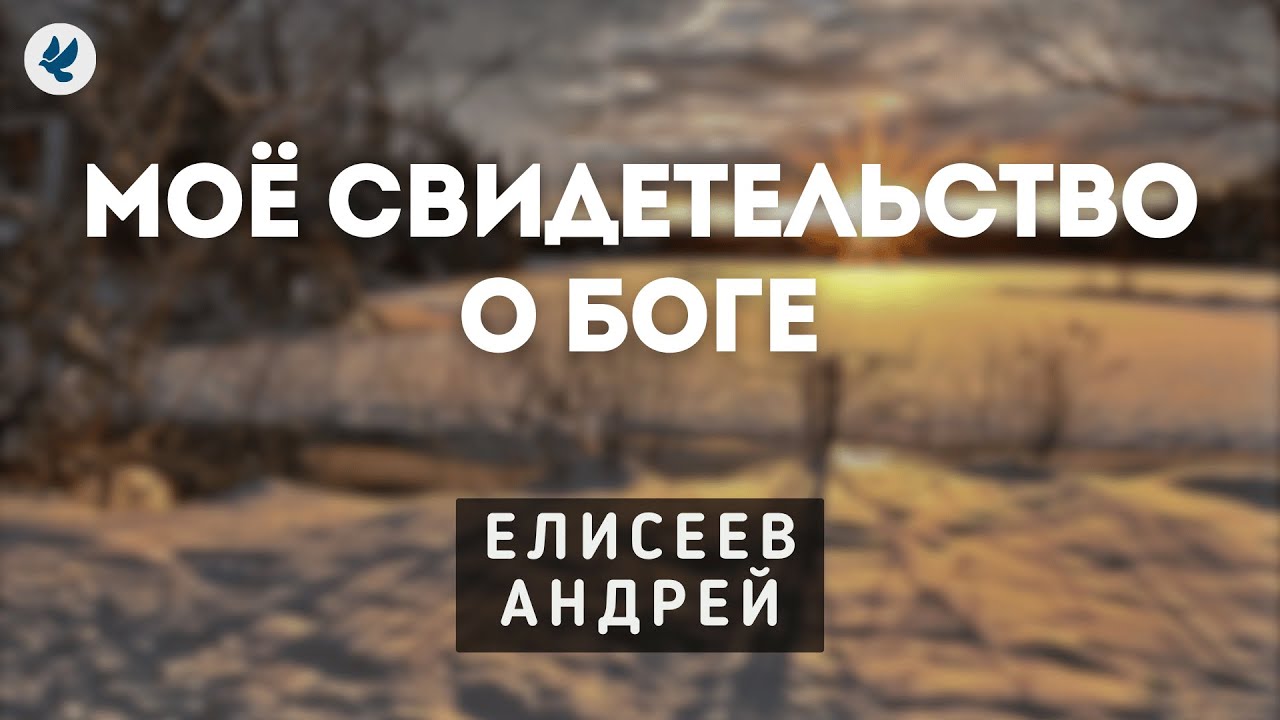 Моё свидетельство о Боге. Елисеев А.Н. Проповедь МСЦ ЕХБ смотреть онлайн