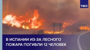 В Испании из-за лесного пожара погибли 12 человек