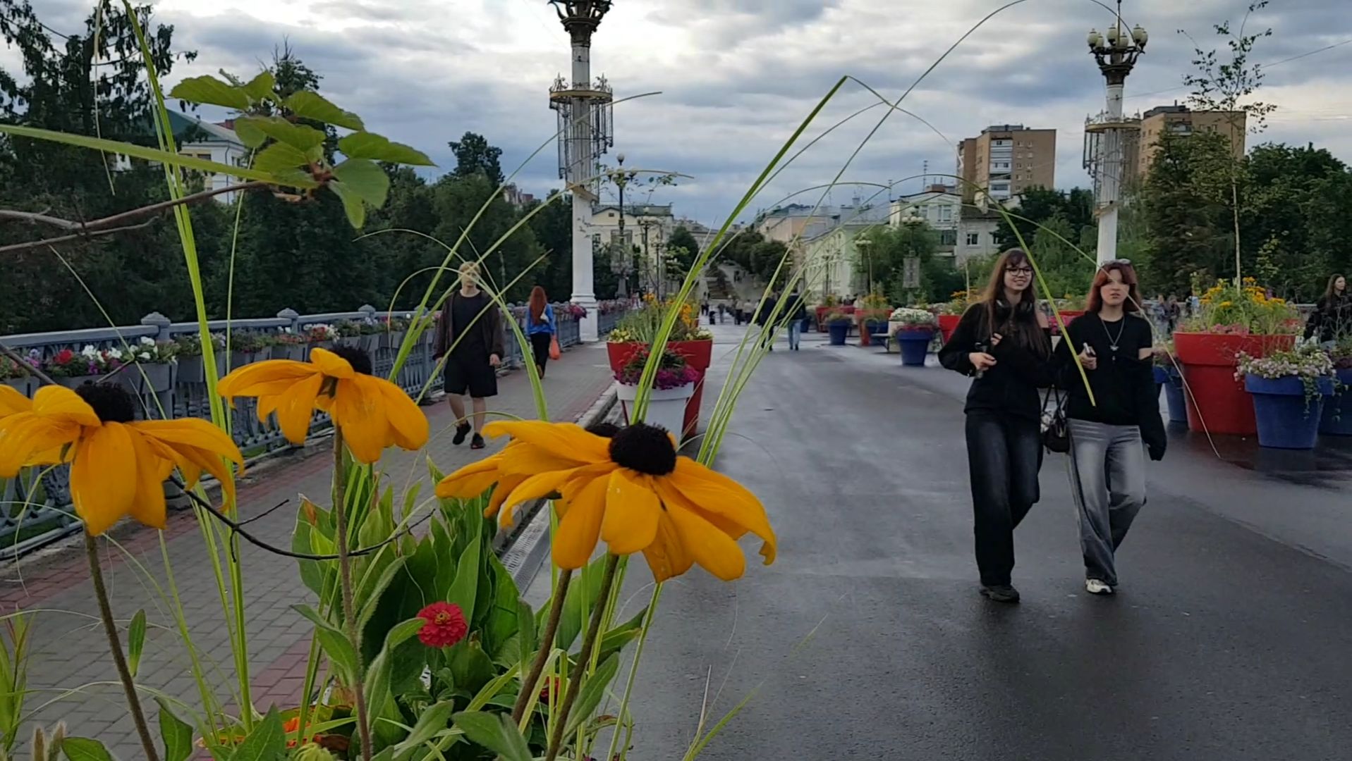 20260710 Река Орлик Цветы клумб украшения растения цветник Сквер Маяковского улица Ленина город Орёл смотреть онлайн