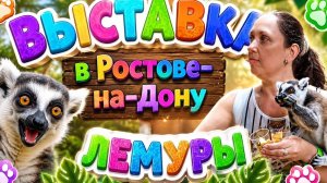 Лемурия Парк Ростов-на-Дону лемуры