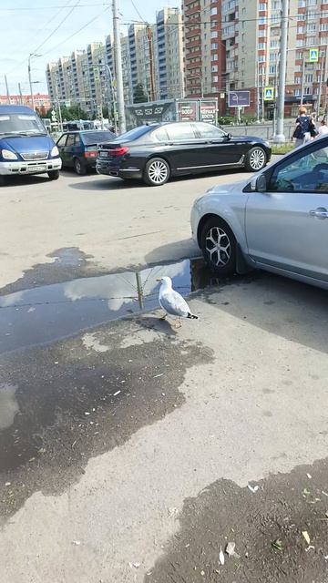 уходи смотреть онлайн