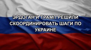 Эрдоган и Трамп решили скоординировать шаги по Украине