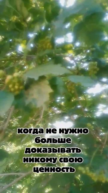Самая дорогая роскошь - жить своей жизнью смотреть онлайн