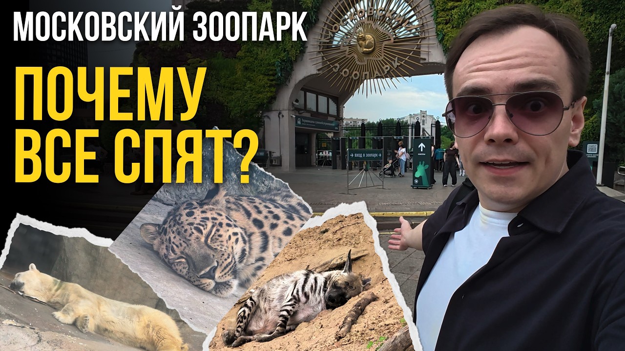 Почему они все СПЯТ? 🦁 Вся правда про МОСКОВСКИЙ ЗООПАРК и медведя Грома смотреть онлайн