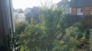 Мой Загородный🏡дом в Сибири 09.07.2026/Пирог с клубникой🍓