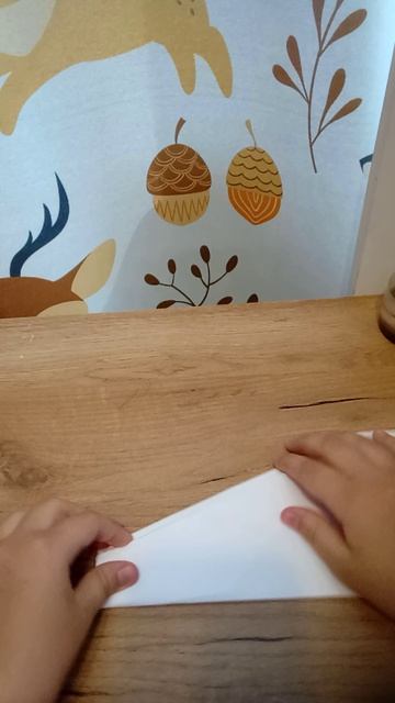 как сделать самолётик легко и быстро