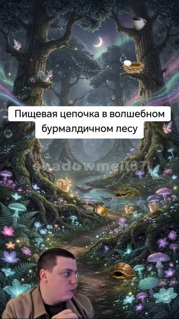 Котость