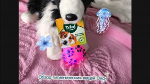 Обзор гигиенических вещей окси! 😙