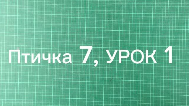 Птичка 7, УРОК 1 (пп. 1-2), свободно на мар-т плейсах смотреть онлайн