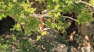 Водопад в Манавгате и беззаботное детство
