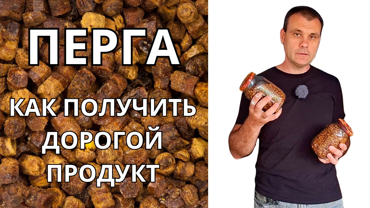 ПЕРГА. Как получить дорогой и качественный продукт. смотреть онлайн