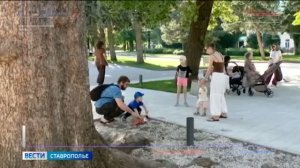 «Вести. Ставропольский край» 10.07.2026 (21.10)