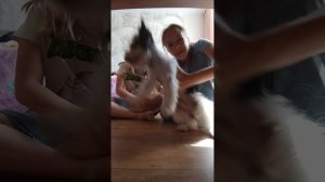 Большем🤗🤗🤗1