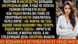 Истории из жизни/Родня мужа со свекровью заявили, что будут жить в моём доме/Аудиорассказы жизненные