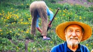Анекдот о соседях по даче.