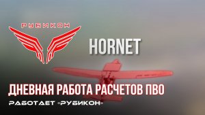 ПВО Центра «Рубикон» работает в небе. Сбиты «Hornet», «Батон», а также и другие БпЛА
