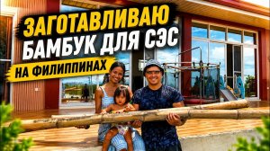 ИСХОД РУССКИХ МУЖИКОВ В ДЖУНГЛИ. Строю леса из БАМБУКА ради Бесплатного Электричества!