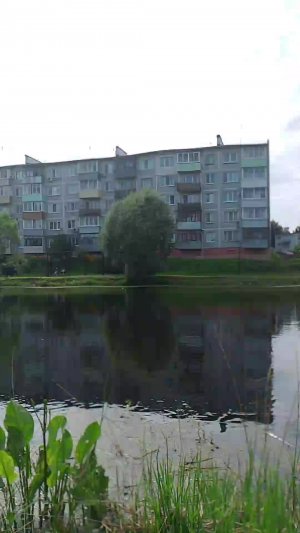 ловим карася