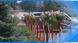 10.07.2026     Красота не для всех. Две клумбы стали жертвами вандалов