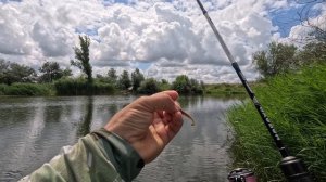 Окунь на МИКРОДЖИГ с  НАВАХО Микро Джиг (Олта), 2.10м, 0.6-4г. Перед дождем успел наловить.