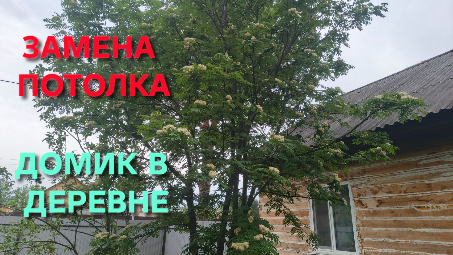 Потолок обвалился и сгнил верхний брус на доме Как все это заменить