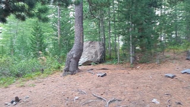 20260629_142230 смотреть онлайн