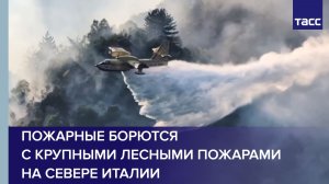 Пожарные борются с крупными лесными пожарами на севере Италии