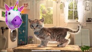 ПРИКЛЮЧЕНИЕ МАЛЕНЬКОГО КОТЕНКА - мультфильмы про котят на #ММ мультики для детей - Little