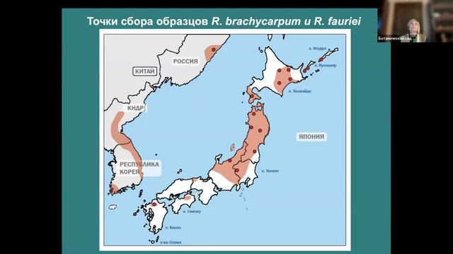 Молекулярно-филогенетическое исследование Rhododendron brachycarpum и Rh. fauriei смотреть онлайн