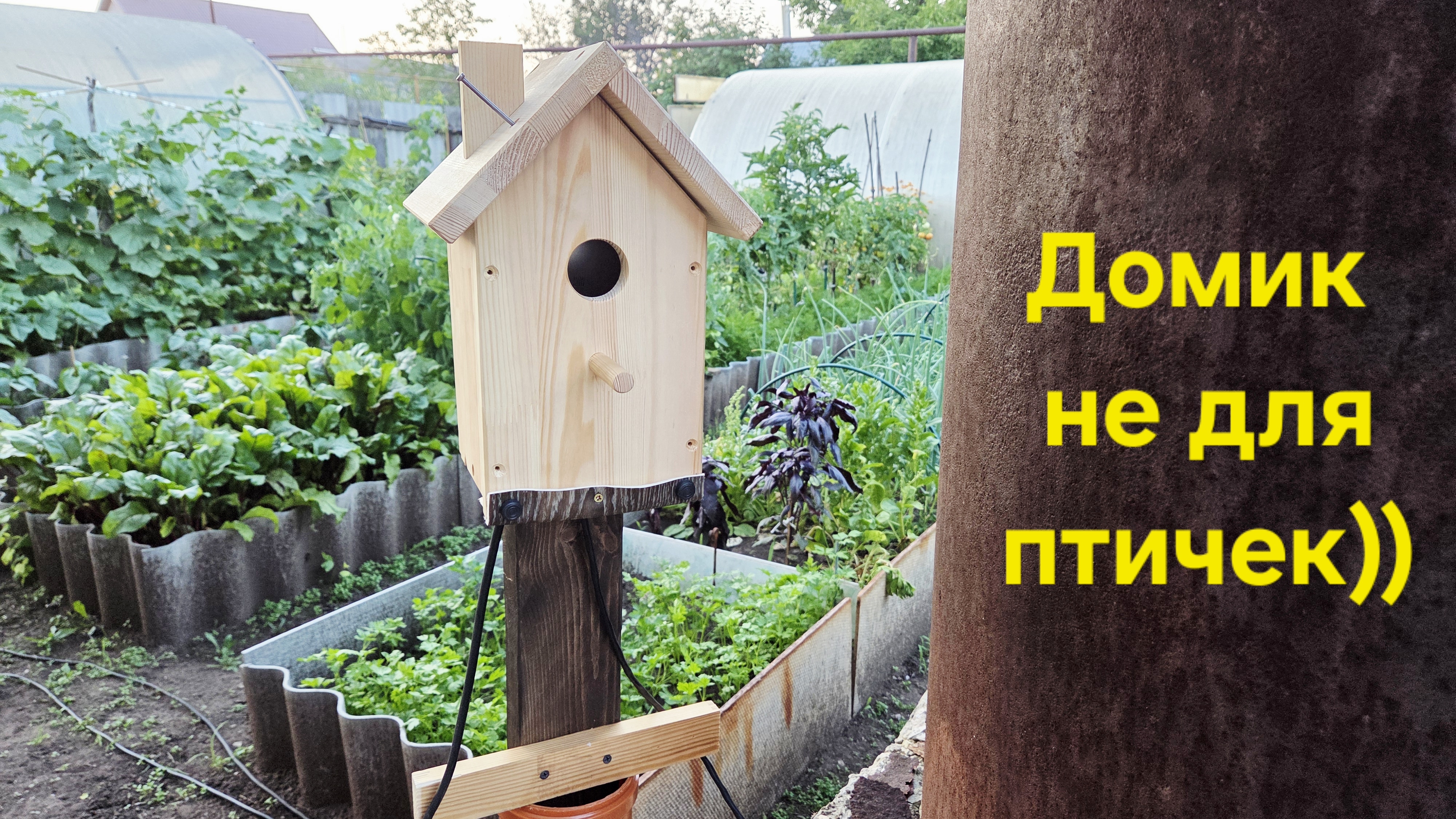 #влог #Дом не для птичек и подарки из Самары🛖🦔🦔🦔