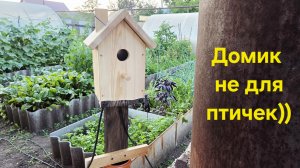 влог# Дом не для птичек и подарки из Самары🛖🦔🦔🦔