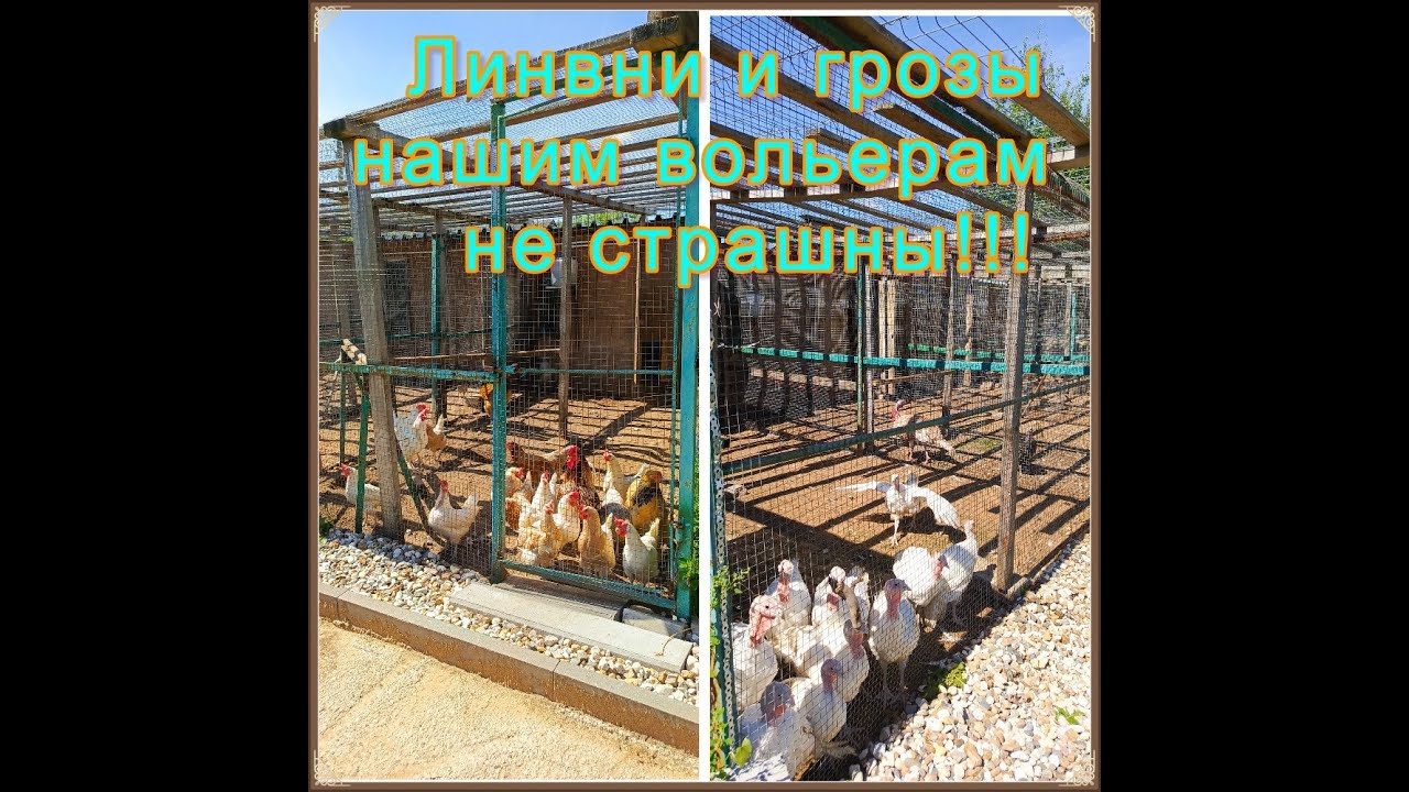 Комфортные выгулы для пернатых: ливни и грозы им не страшны смотреть онлайн