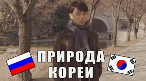 НЕ ТУРИСТИЧЕСКАЯ КОРЕЯ - Мунгёнсэджэ. Катя и Кюдэ/Влог/Южная Корея