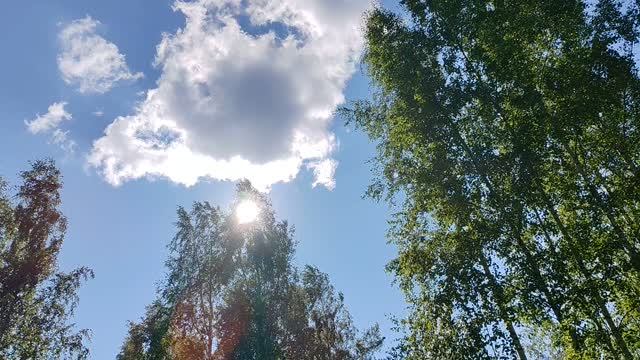 Лето с характером ... Часть 1. Циклон 🌧⚡🌊