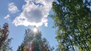 Лето с характером ... Часть 1. Циклон 🌧⚡🌊