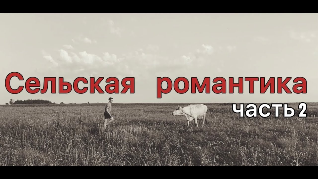 Самодельный киноблог «Сельская романтика! часть 2» смотреть онлайн