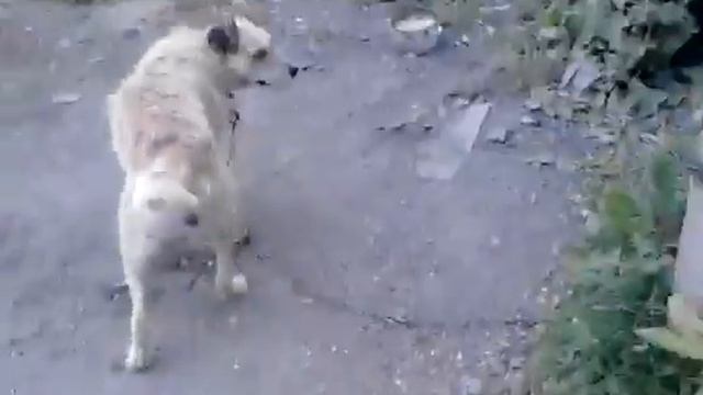 что сказать Я! смотреть онлайн