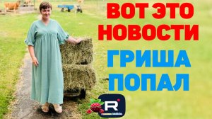 Вот это Новости /Гриша попал /Деревенский дневник очень многодетной мамы /Обзор