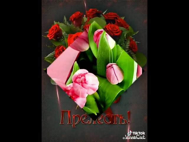Разбудите меня , разбудите, как черемухи цвет опадет. С добрым утром. смотреть онлайн