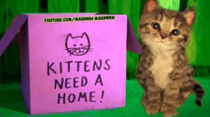 приключения маленького котенка №20 - мультик для детей и малышей про котят